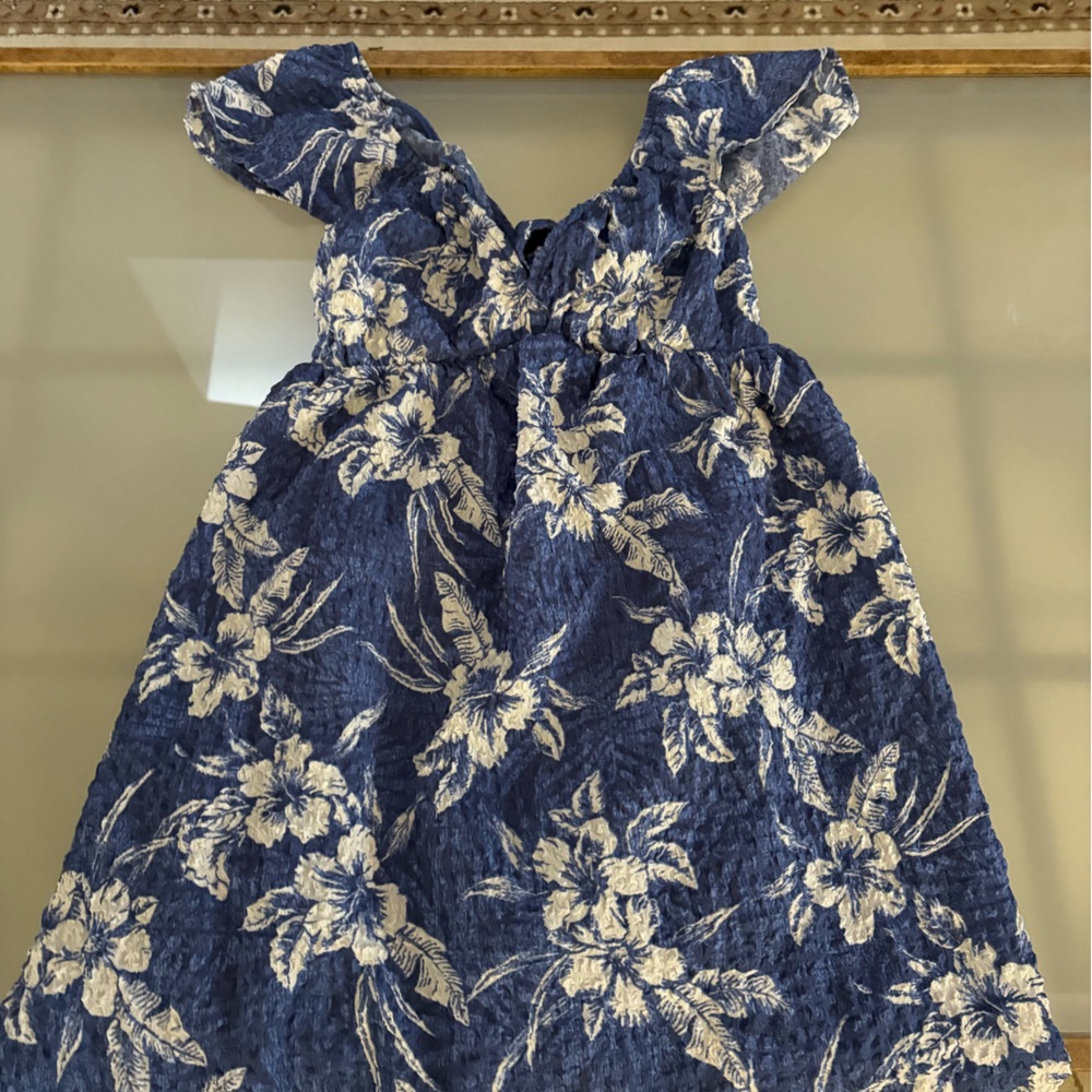 American Eagle Outfitters Navy and White Floral Dress
